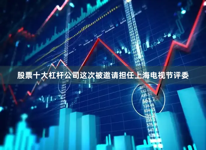 股票十大杠杆公司这次被邀请担任上海电视节评委