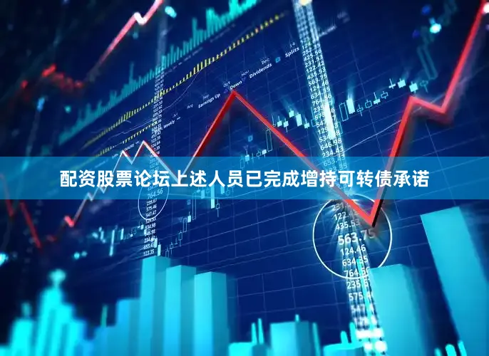 配资股票论坛上述人员已完成增持可转债承诺