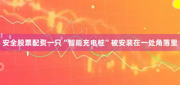 安全股票配资一只“智能充电桩”被安装在一处角落里